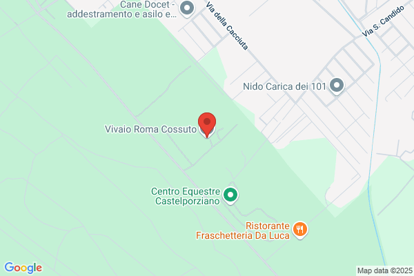 Vivaio Cossuto