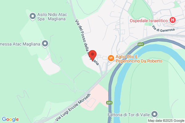 Melli Aleardo Service Srl