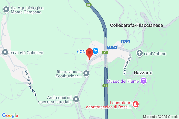 Piccini dante
