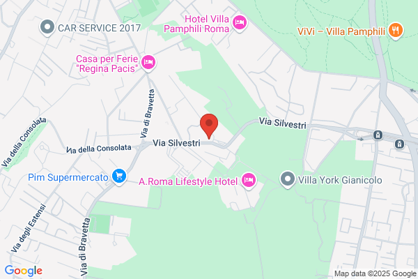 Pinguini Gelateria Naturale