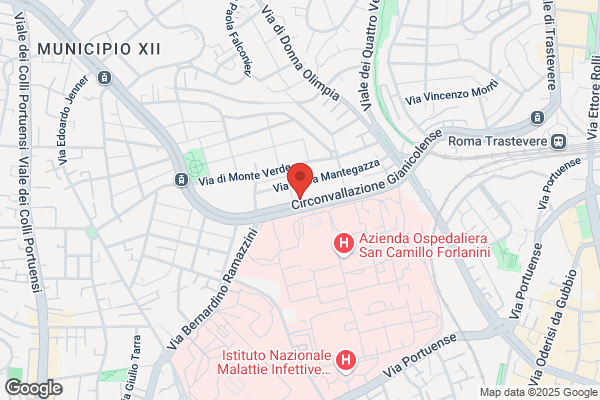 Mannello bruno