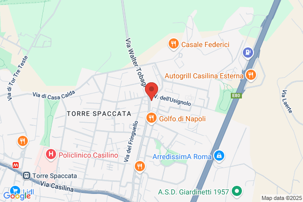 Non Solo Gomma Snc Di Orlandi S. e Stranieri t.