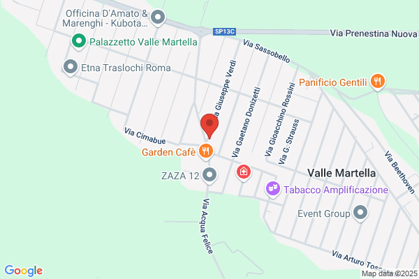 Lilli E Il Vagabondo