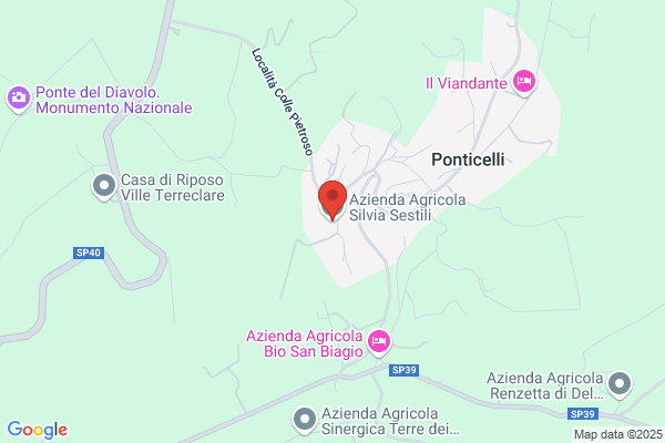 Sestili paolo