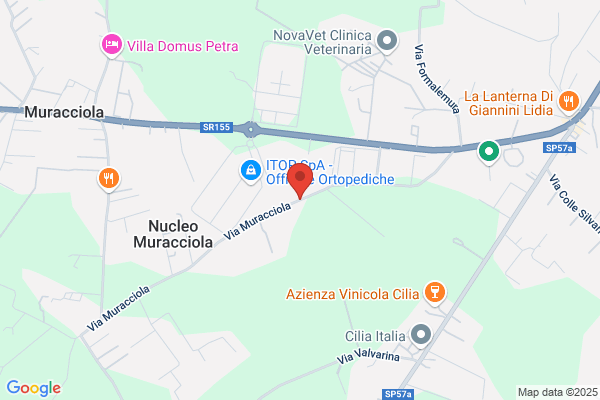 Max 2000 Costruzioni Srl