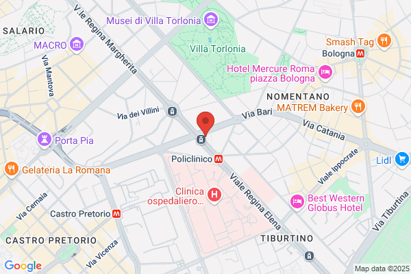 L'Orsetto Amico