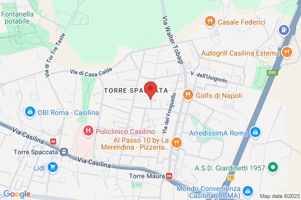 Trosini roberto