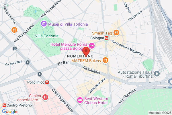 Molecole Web Agency