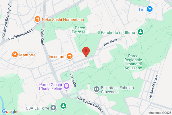 Istituto Plinio Srl