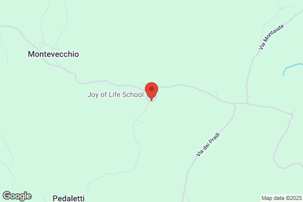 Joy School Srl