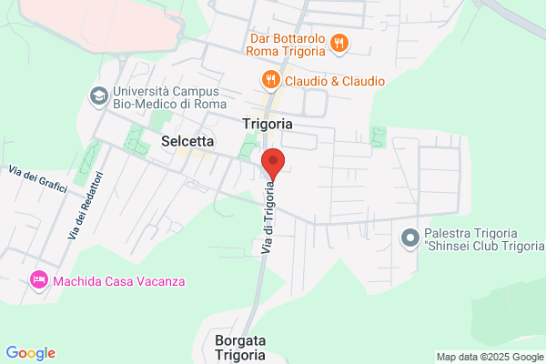 Caffe' Vicere' - Torrefazione