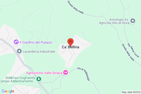 Bellina Paolo & C.