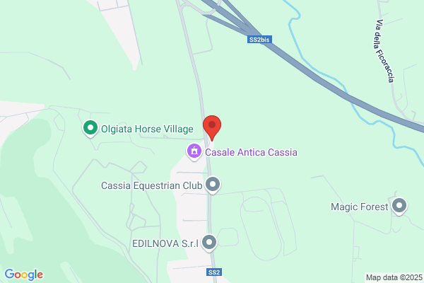 Petrol Cassia