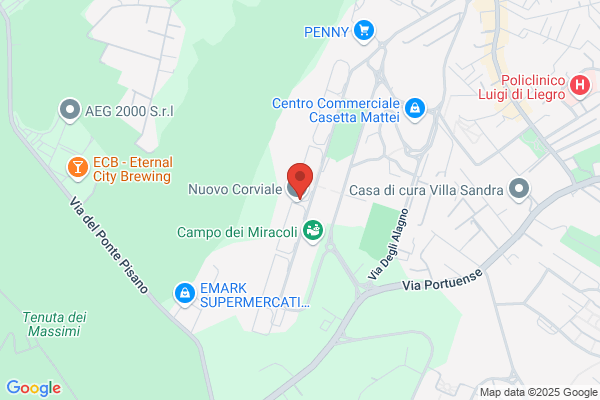 Open Roma Service S.R.L