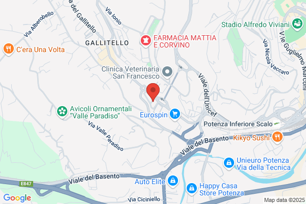Potenza maria Rosa