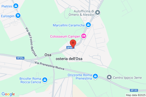 Pompe Iniettori Diesel 88 (S.N.C.)