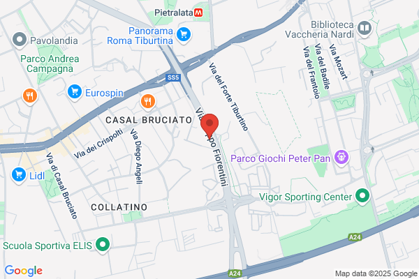Polo Srl