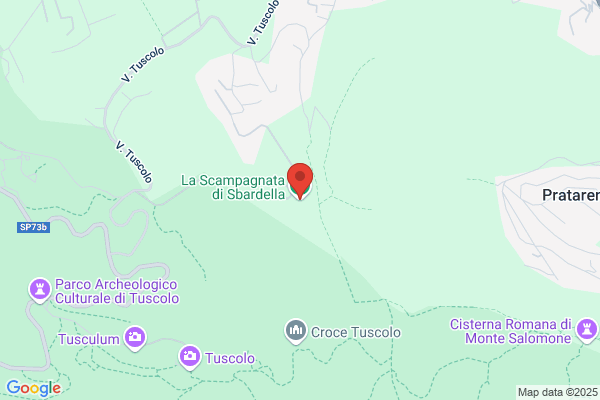 S.R.E. Di Sbardella Massimo
