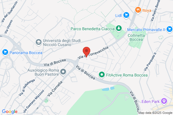 Ruega alessandro
