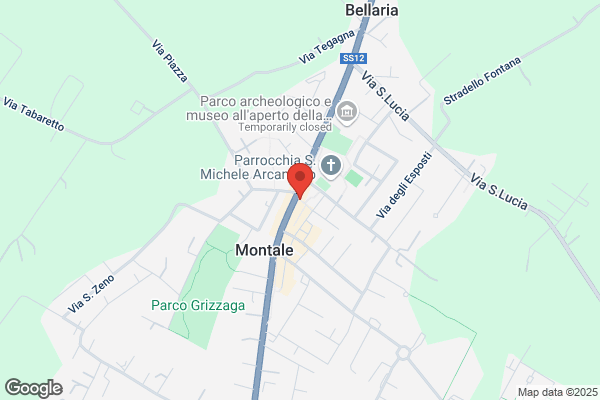 Montalesi mario