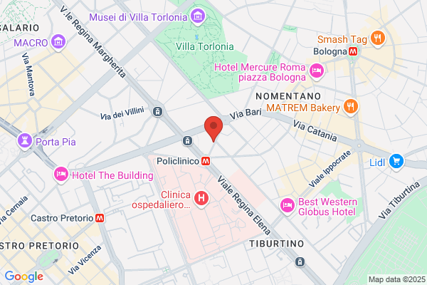 Vozzo silveria (Dr.)