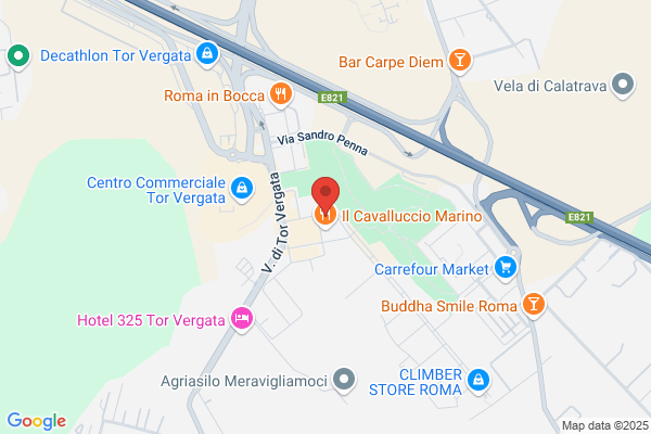 Liberti marcello (Prof.)