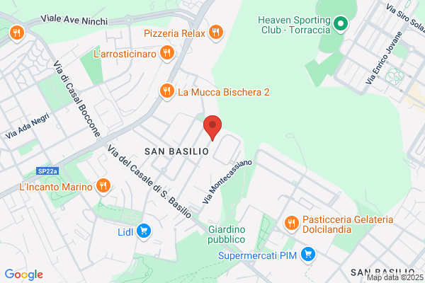 Passini sandro