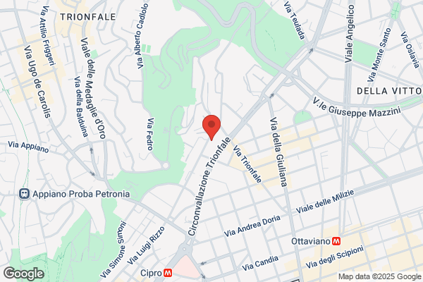 Suadoni - Valori - Mohamed Srl