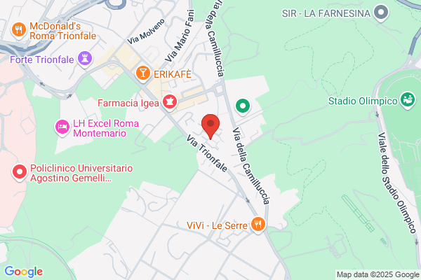 Todini Le Superfici Srl