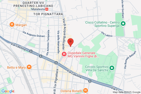 Ludoteca Lalbero Delle Fragole Piccola Soc. Coop. a r. L.