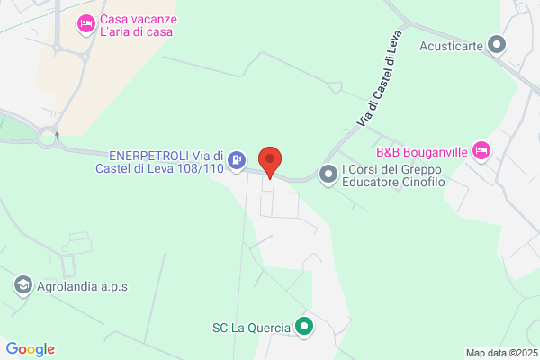 Trotta Bus Service Srl