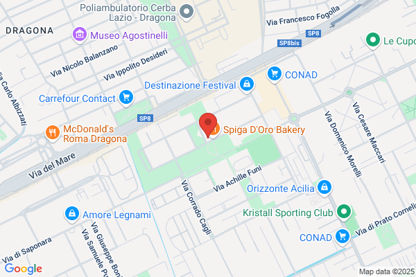Riccidental