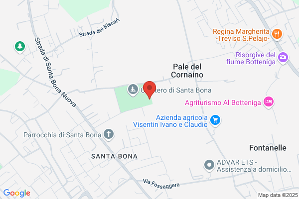 Olea Romana E Della Sabina Srl
