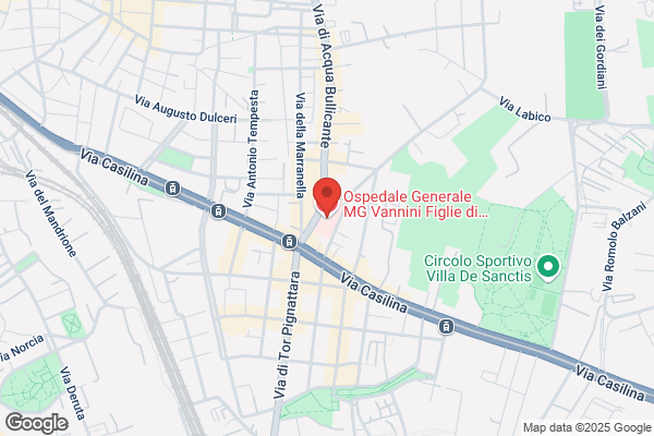 Istituto Figlie Di San Camillo