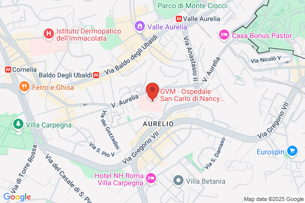 Ospedale S. Carlo Di Nancy Cong. Figli Dellimm. Concez.