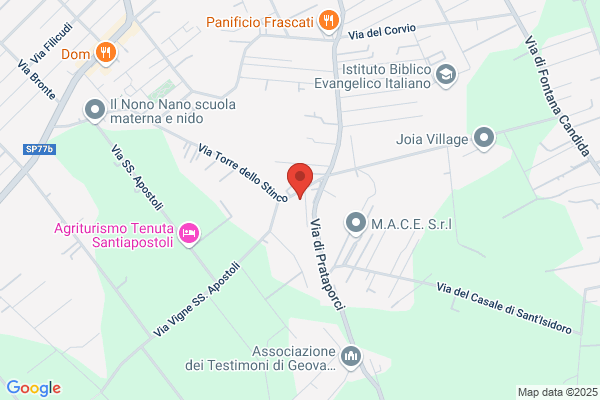 Pancarre Roma Srl