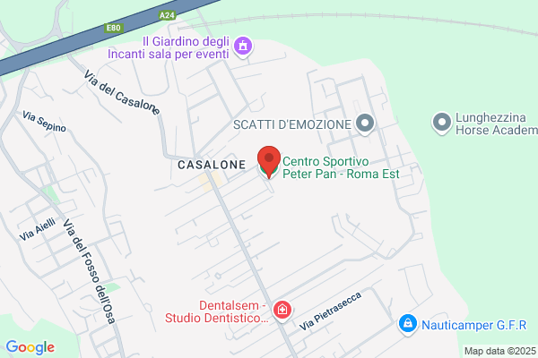 Piter Pan Di Baretta Giulio S.A.S.