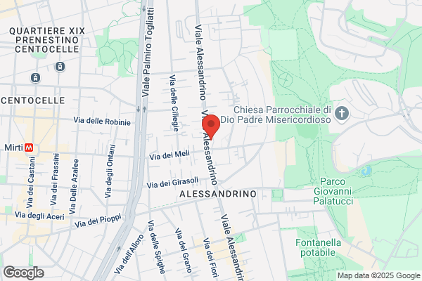 P.D.S. Partito Democratico Della Sinistra