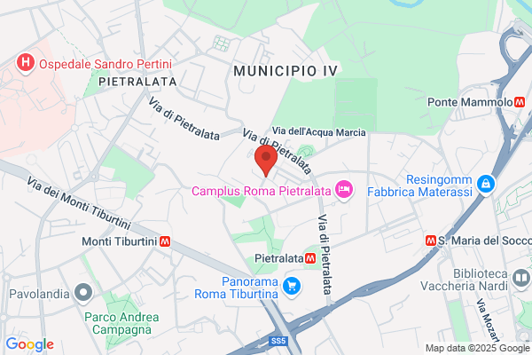 Partito Democratico Della Sinistra Federazione Di Roma