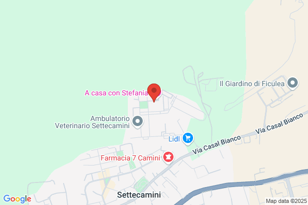 Viva Srl