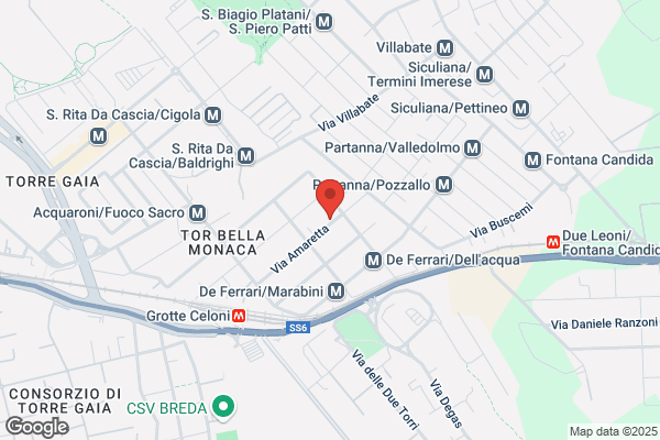 Palazzetti fernanda