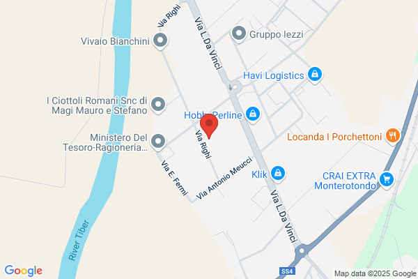 Romana Importazioni Esportazioni S.R.L.