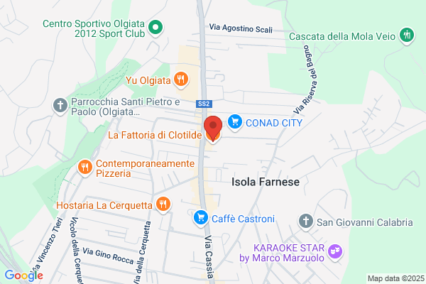 Centro Gomme Olgiata