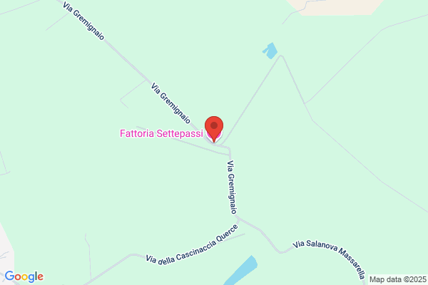 Settepassi francesco