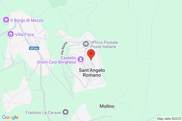 Sanifarma Romana Srl