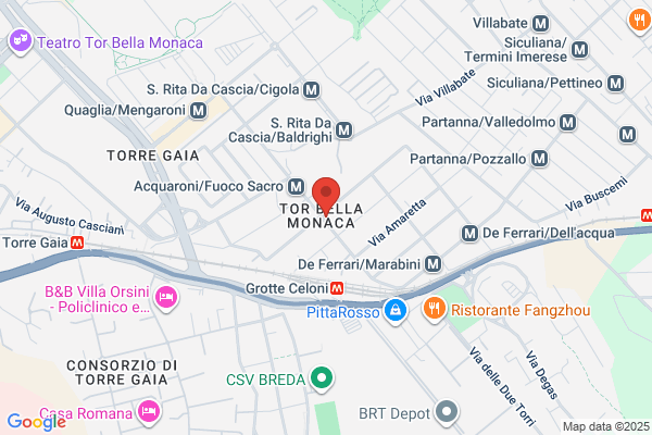 Trigona nicolo