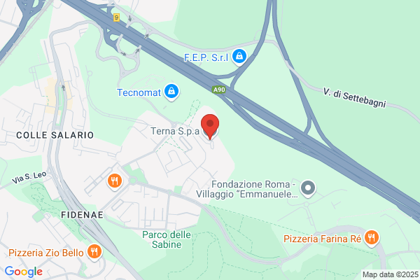 Gestore Della Rete Di Trasmissione Nazionale Spa