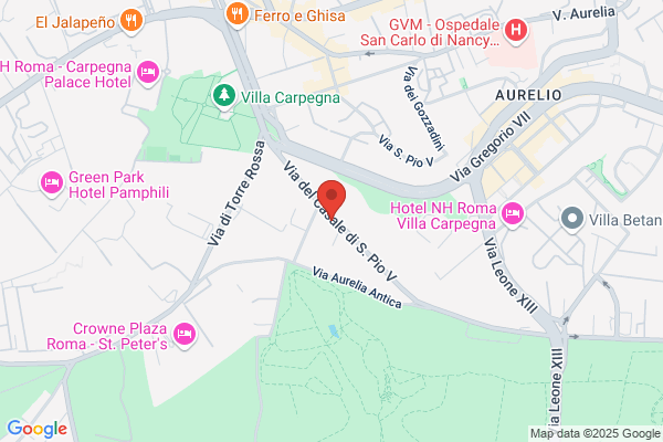 Ridolfi Vir Electra Srl