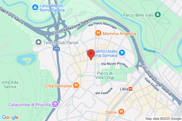 Morelli diomira