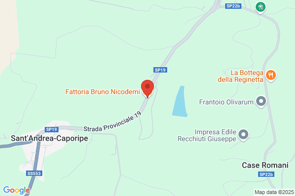 Nicodemi Srl
